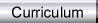 Curriculum
